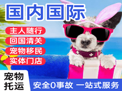 莫力达瓦旗机场空运国际宠物托运 【国